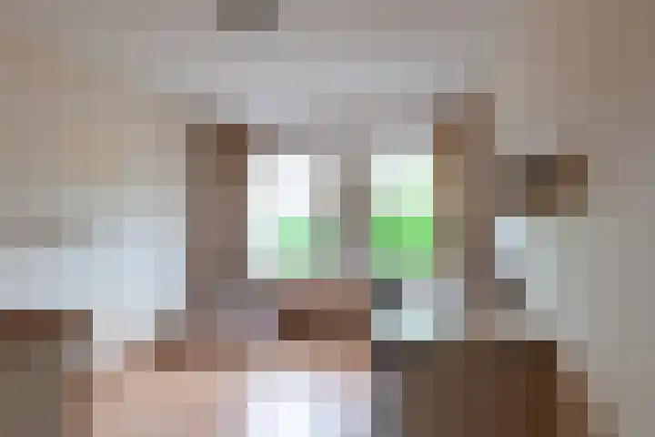 De Weitas 2 Tollebeek thumbnail 32