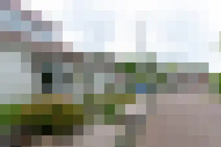 De Weitas 2 Tollebeek thumbnail 41