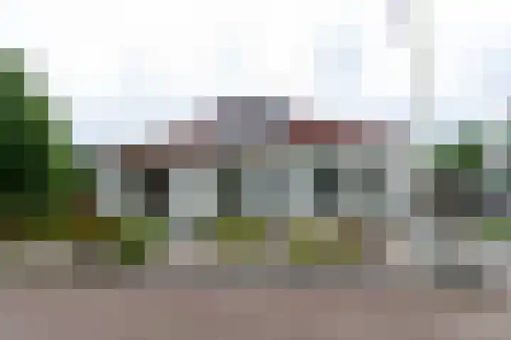 De Weitas 2 Tollebeek thumbnail 45