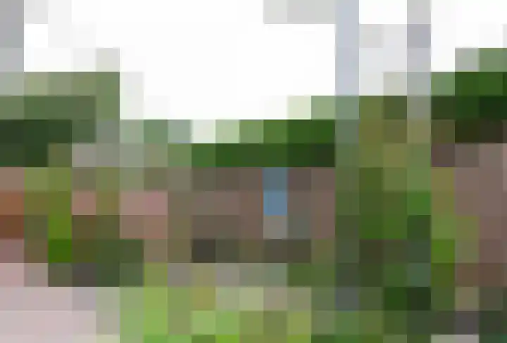 De Weitas 2 Tollebeek thumbnail 8