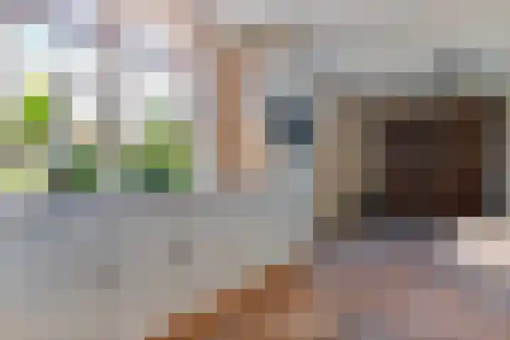De Weitjes 56 Dalfsen thumbnail 13