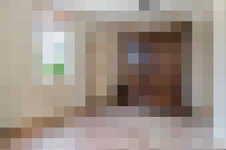 De Weitjes 56 Dalfsen thumbnail 14
