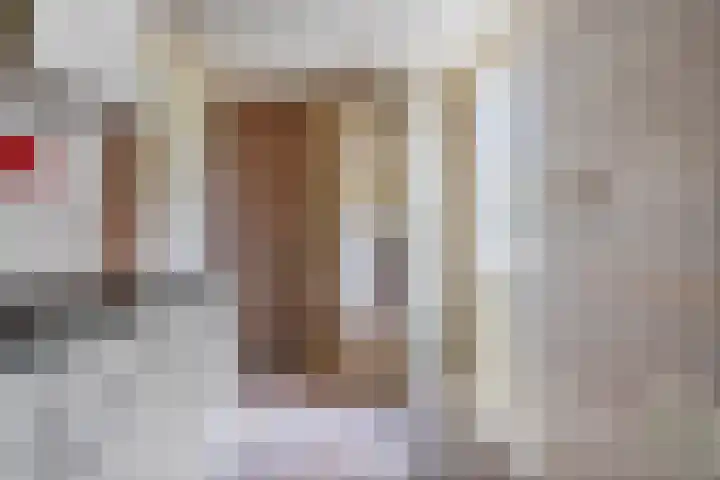 De Weitjes 56 Dalfsen thumbnail 18