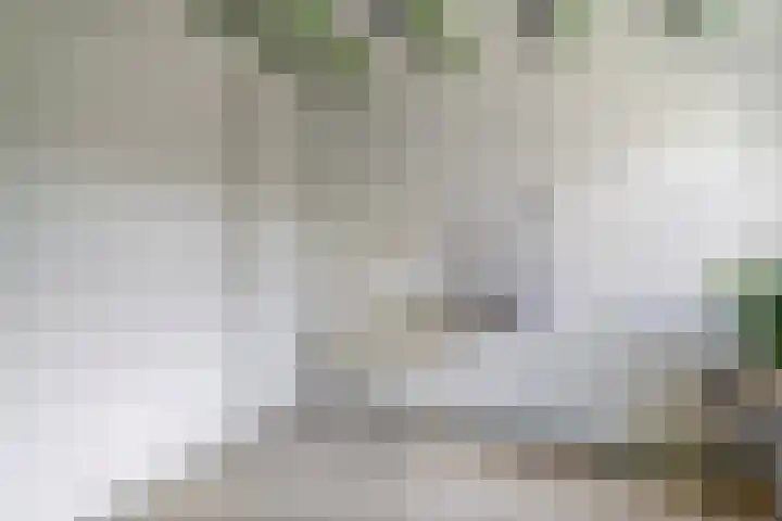 De Weitjes 56 Dalfsen thumbnail 20