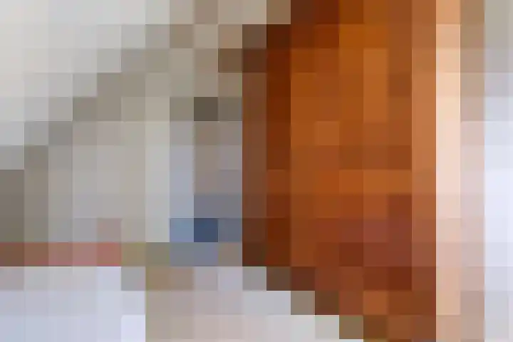 De Weitjes 56 Dalfsen thumbnail 27