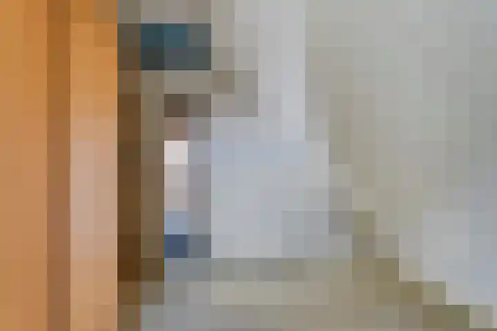 De Weitjes 56 Dalfsen thumbnail 29