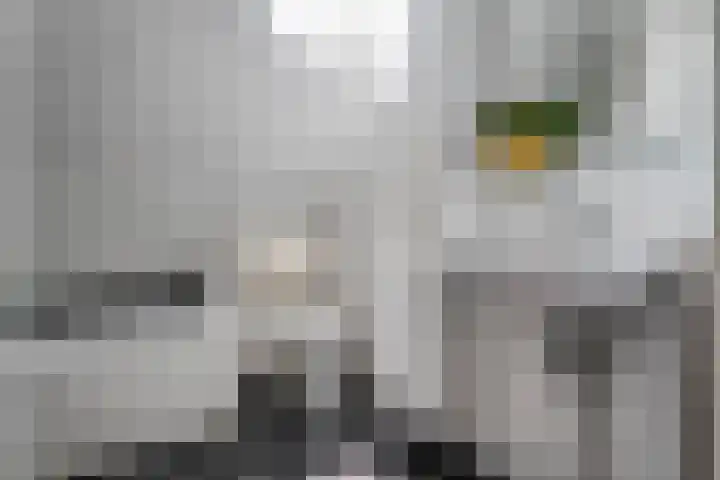 De Weitjes 56 Dalfsen thumbnail 30