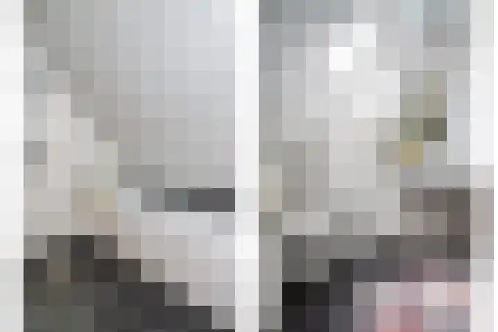 De Weitjes 56 Dalfsen thumbnail 31
