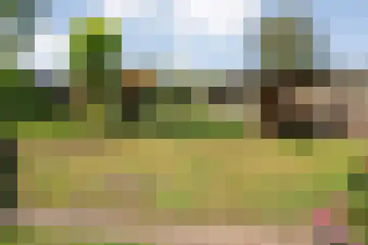 De Weitjes 56 Dalfsen thumbnail 32