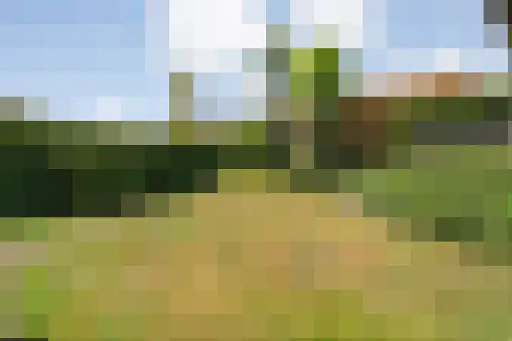 De Weitjes 56 Dalfsen thumbnail 33
