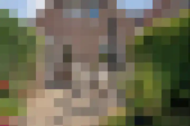 De Weitjes 56 Dalfsen thumbnail 34