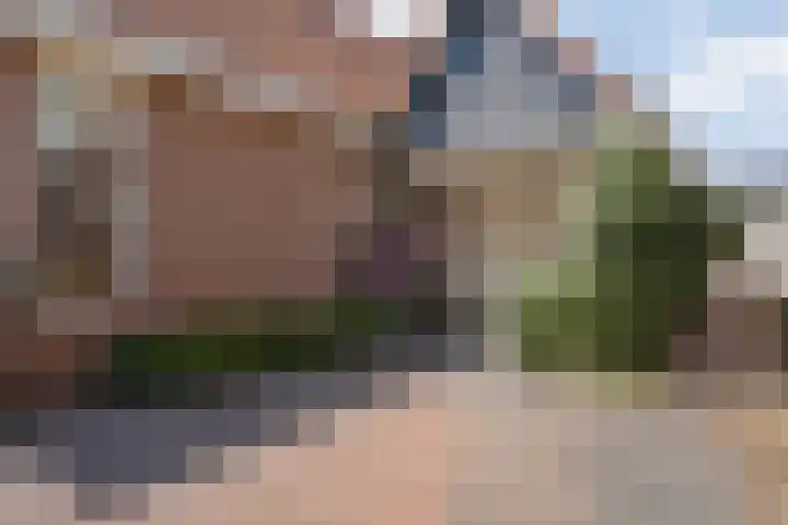 De Weitjes 56 Dalfsen thumbnail 36