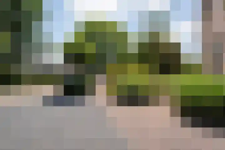 De Weitjes 56 Dalfsen thumbnail 37