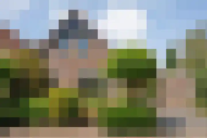 De Weitjes 56 Dalfsen thumbnail 40