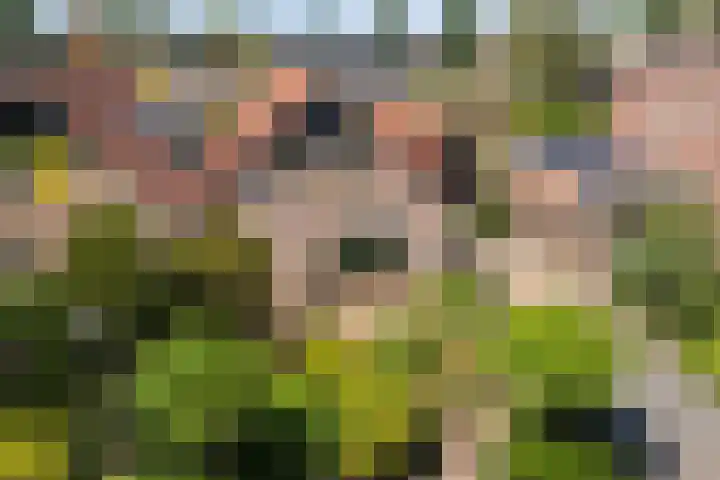 De Weitjes 56 Dalfsen thumbnail 42