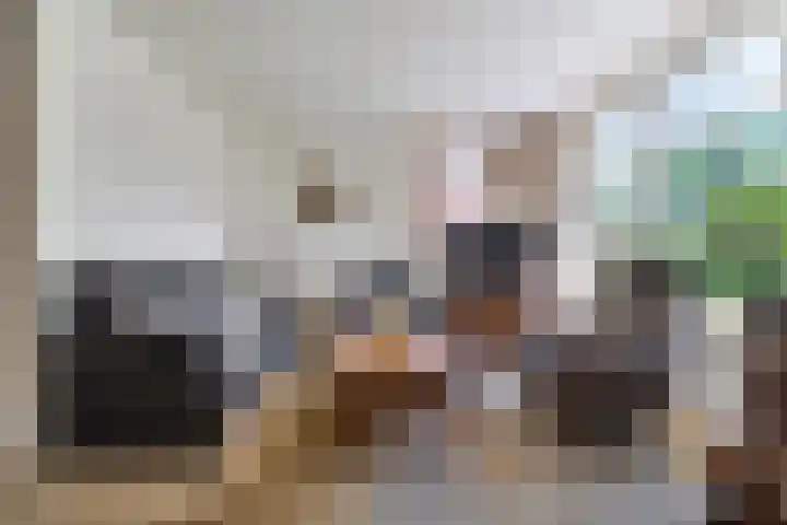 De Weitjes 56 Dalfsen thumbnail 7