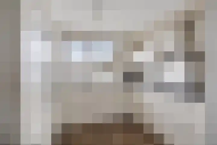 De Welhaak 32 Erica thumbnail 12