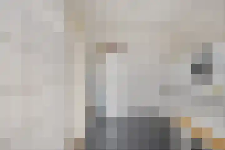 De Welhaak 32 Erica thumbnail 16