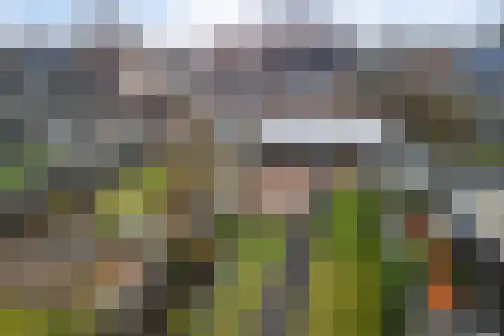 De Welhaak 32 Erica thumbnail 30