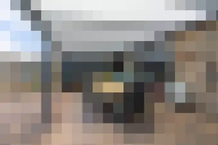 De Welhaak 32 Erica thumbnail 33