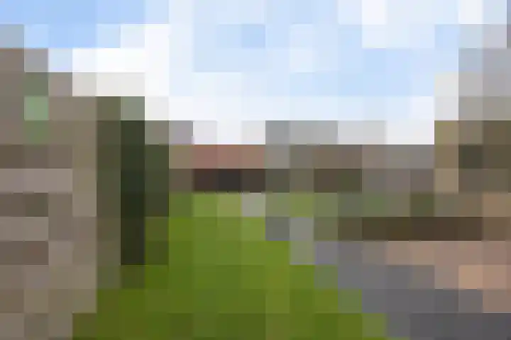 De Welhaak 32 Erica thumbnail 35