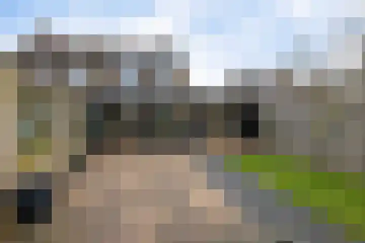 De Welhaak 32 Erica thumbnail 41