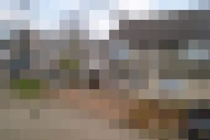 De Welhaak 32 Erica thumbnail 45