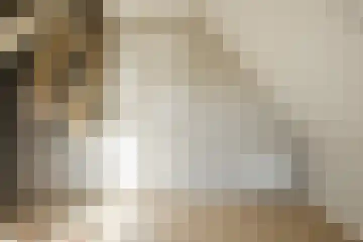 De Wemekamp 8 Den Ham thumbnail 38