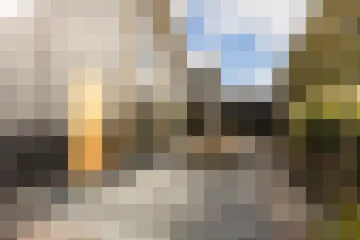 De Wemekamp 8 Den Ham thumbnail 52
