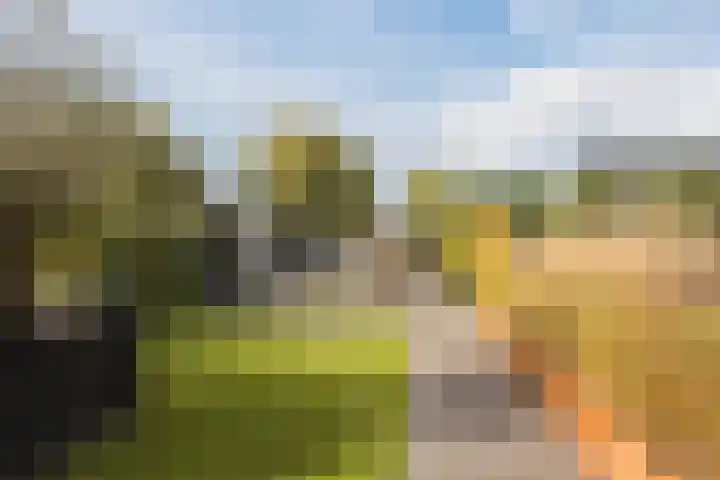 De Wemekamp 8 Den Ham thumbnail 53