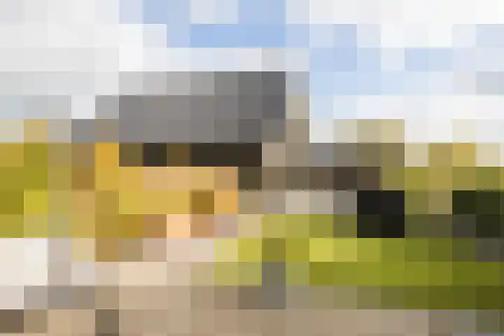 De Wemekamp 8 Den Ham thumbnail 55