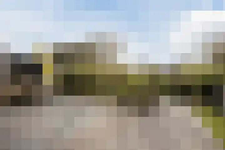 De Wemekamp 8 Den Ham thumbnail 56