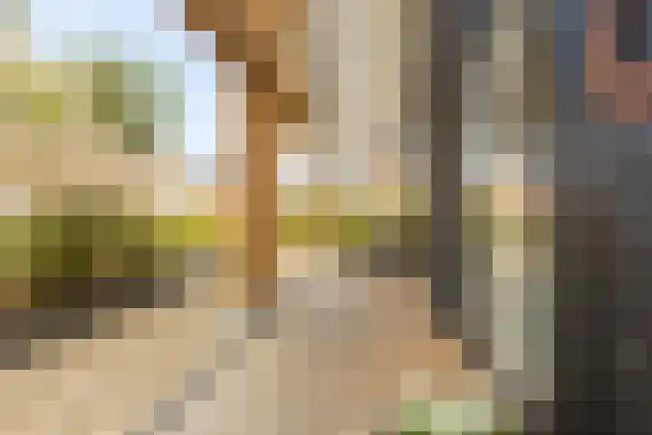 De Wemekamp 8 Den Ham thumbnail 6