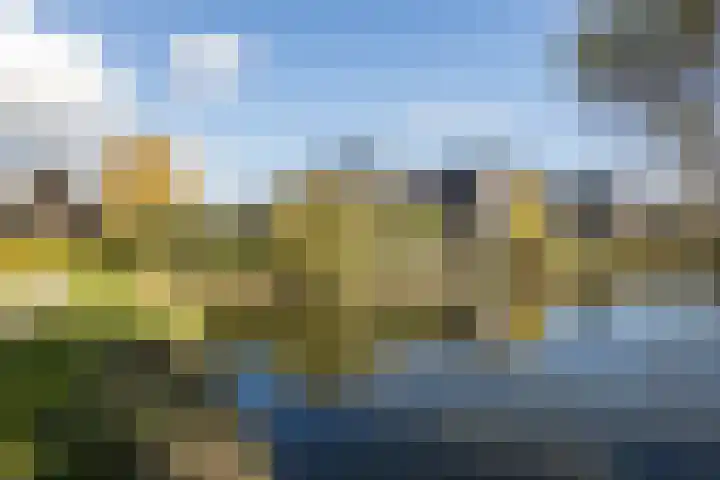 De Wemekamp 8 Den Ham thumbnail 63