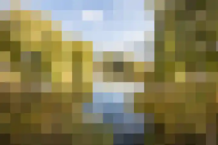 De Wemekamp 8 Den Ham thumbnail 66