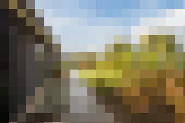 De Wemekamp 8 Den Ham thumbnail 8
