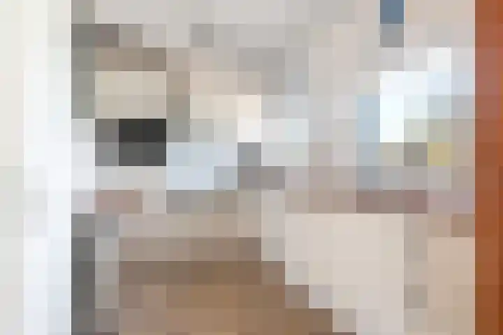 De Wending 109 Marum thumbnail 24