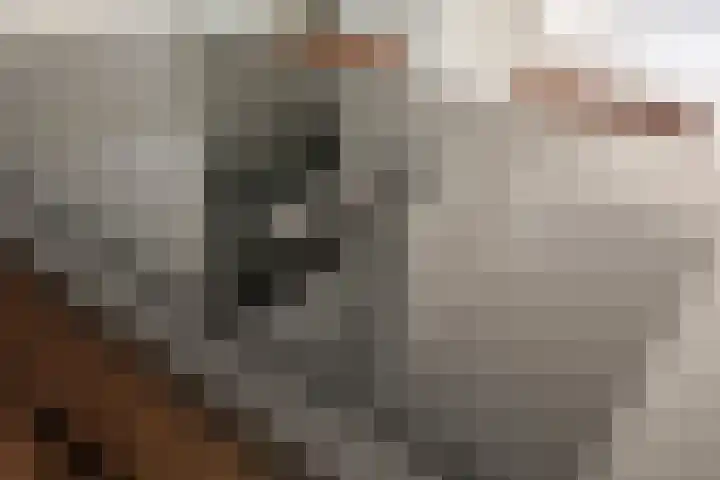 De Werf 1 Monnickendam thumbnail 14