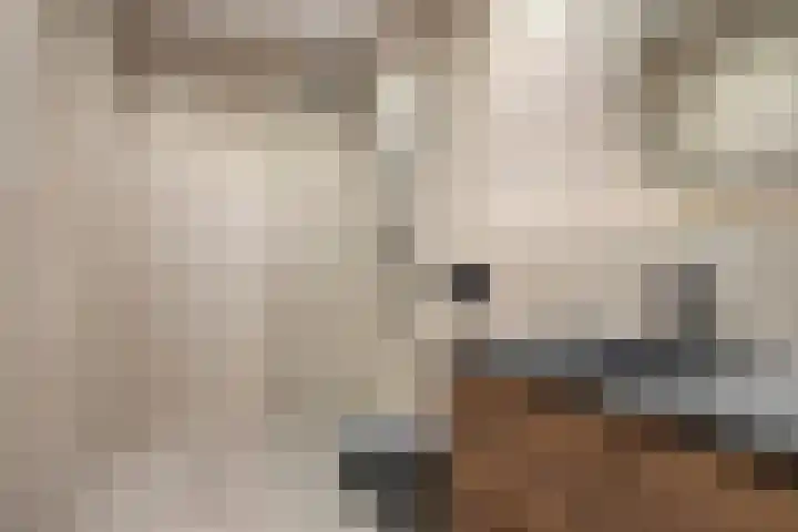 De Werf 1 Monnickendam thumbnail 22