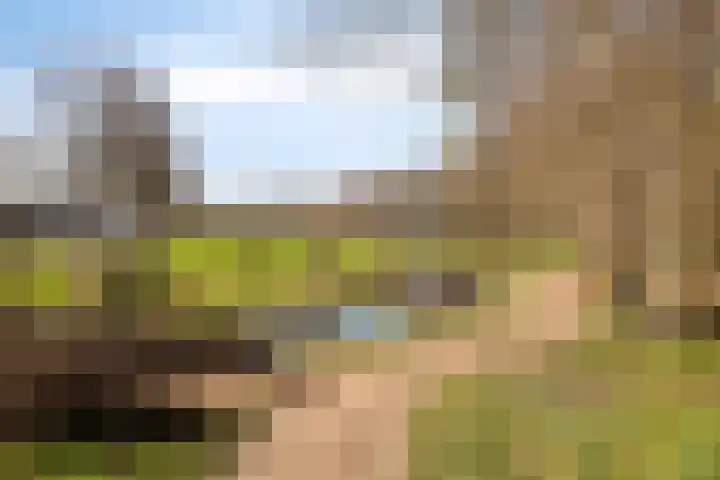 De Werf 1 Monnickendam thumbnail 30