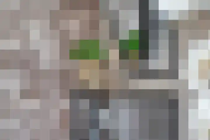 De Werf 167 in Tilburg