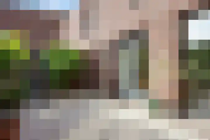 De Werf 191 Tilburg thumbnail 34