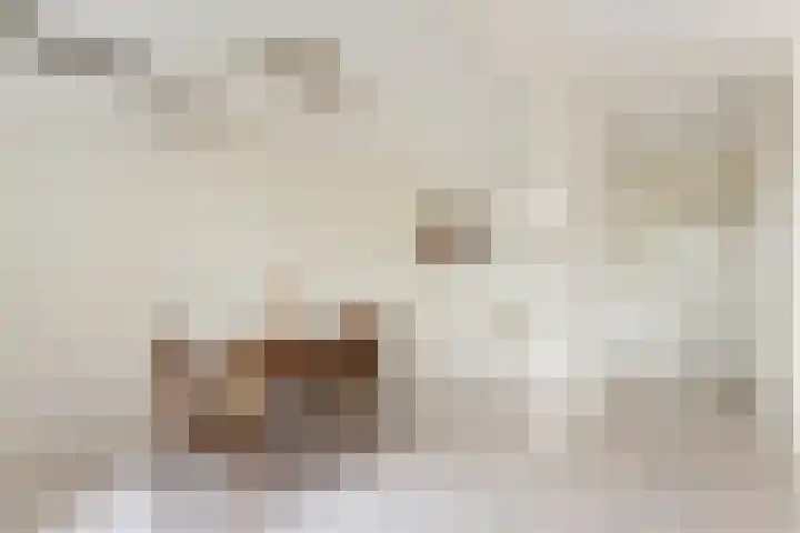 De Wervel 12 Alblasserdam thumbnail 11