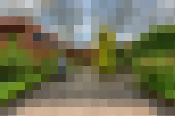 De Wervel 12 Alblasserdam thumbnail 34