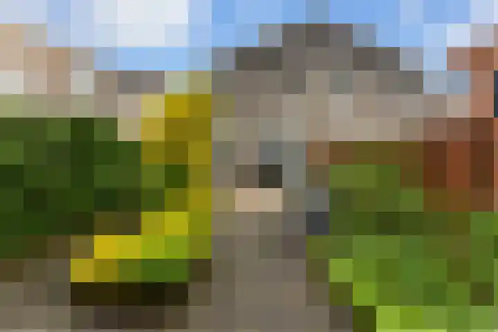 De Wervel 12 Alblasserdam thumbnail 36