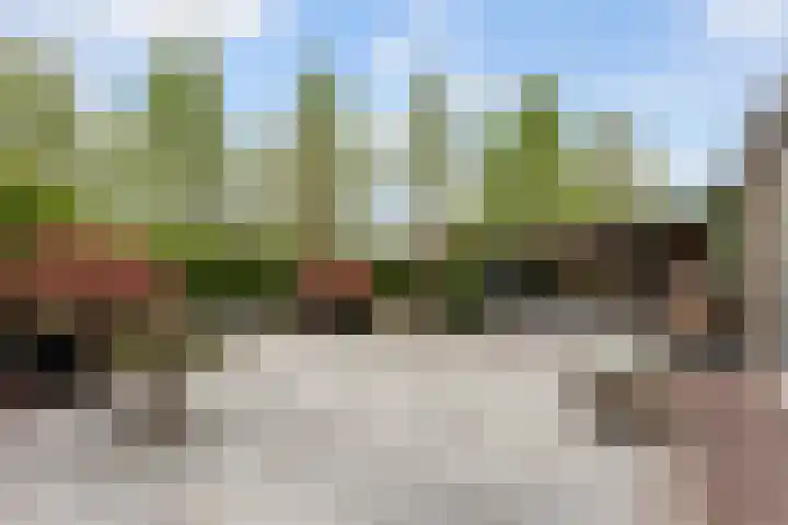 De Wervel 56 Alblasserdam thumbnail 46