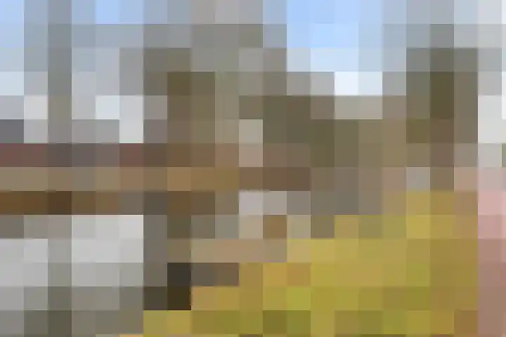 de Werven 17 Muiden thumbnail 33