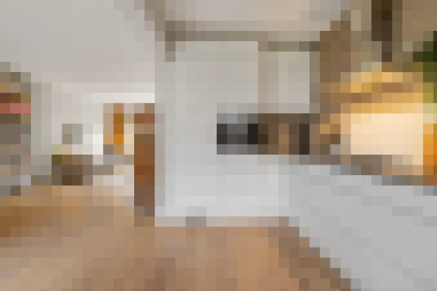 de Werven 37 Muiden thumbnail 18