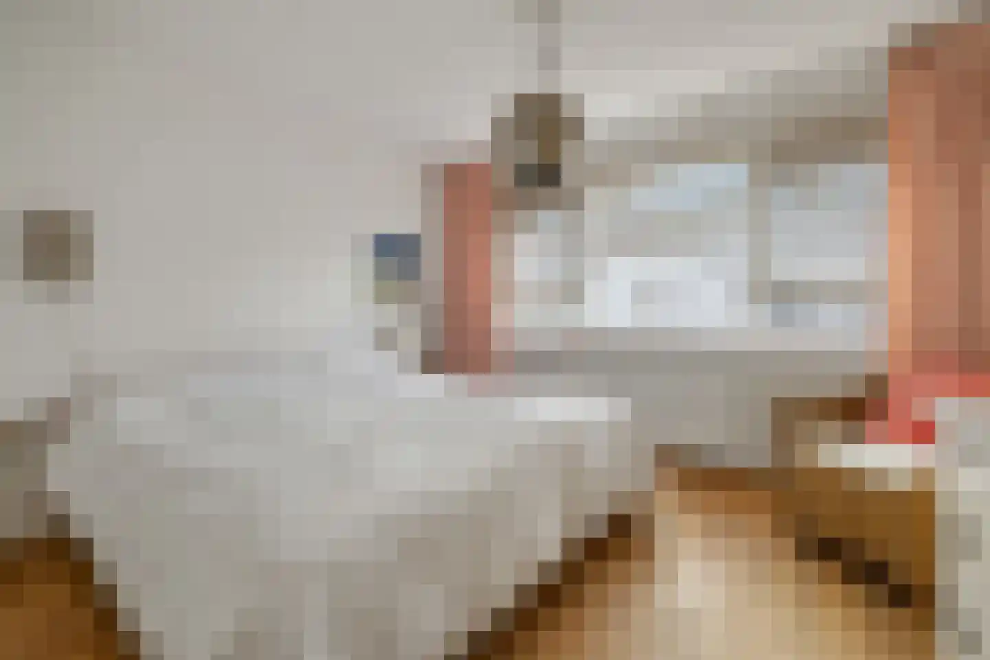 de Werven 37 Muiden thumbnail 20