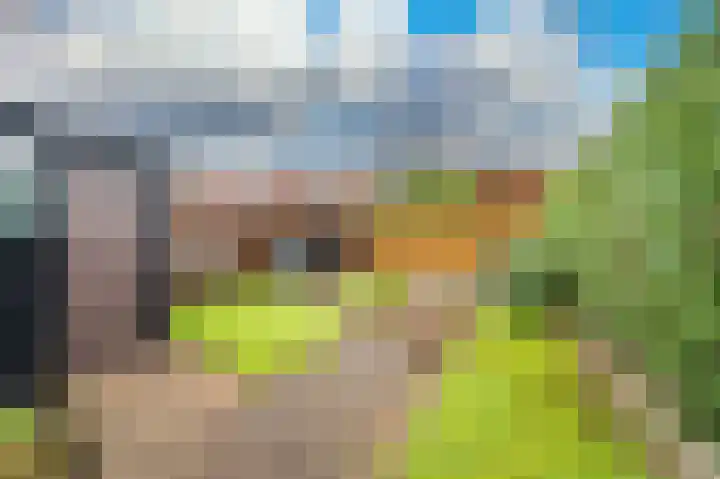 de Werven 37 Muiden thumbnail 27